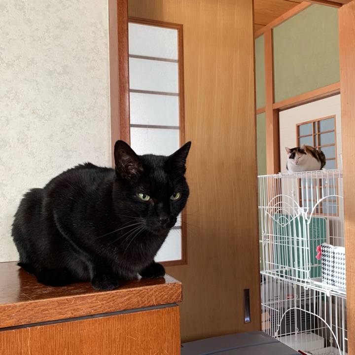 B5237a61 ccf8 4871 9f2c 3daf8f650c58 1546133938700