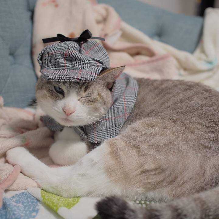 B52383ca 278b 4408 a671 edcae80a8414 1596119363031