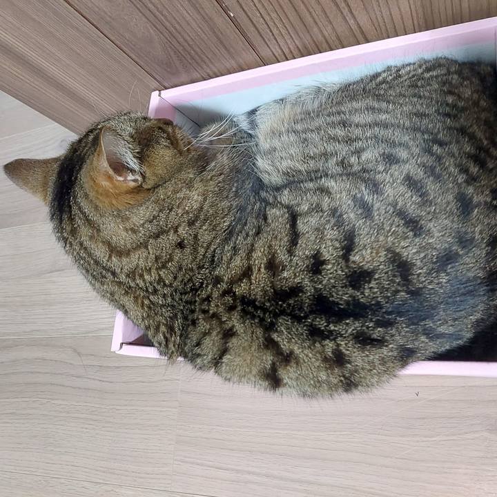 B5239460 b5fb 4255 b76c 0c9765367f2e 1635457327834