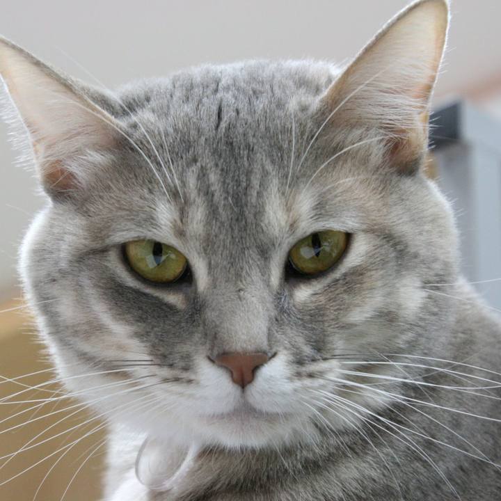 B523948a 7a94 4957 a4bf d83edcca8553 1518094651060