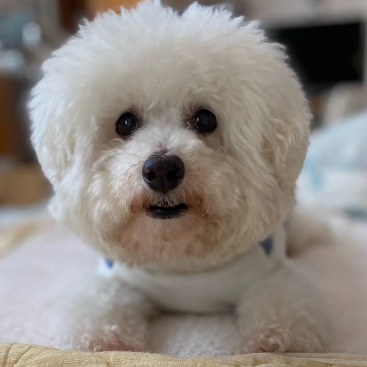 B5241be0 da3b 45f3 bd74 10f9a190cfbb 1687903952016