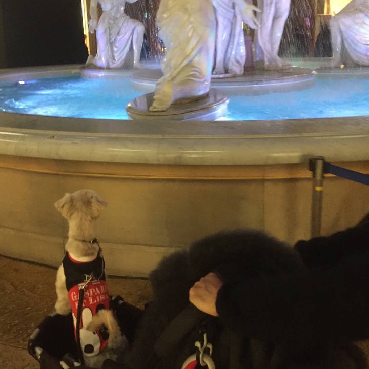 B52421f6 e14a 4a45 9d1f 887db2dc23a6 1512474738755