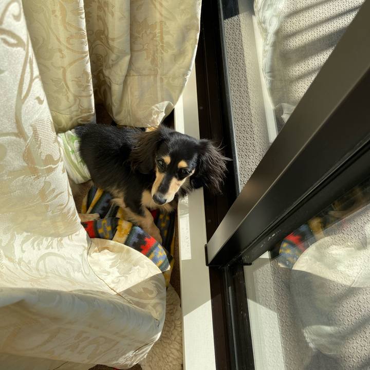 B5244979 acfc 4af3 a863 5a4be5898ac8 1703810801750