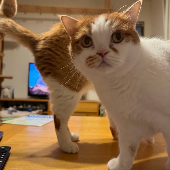 B52457b3 9a0e 476b 9b2a 95bd547b7169 1767606199221