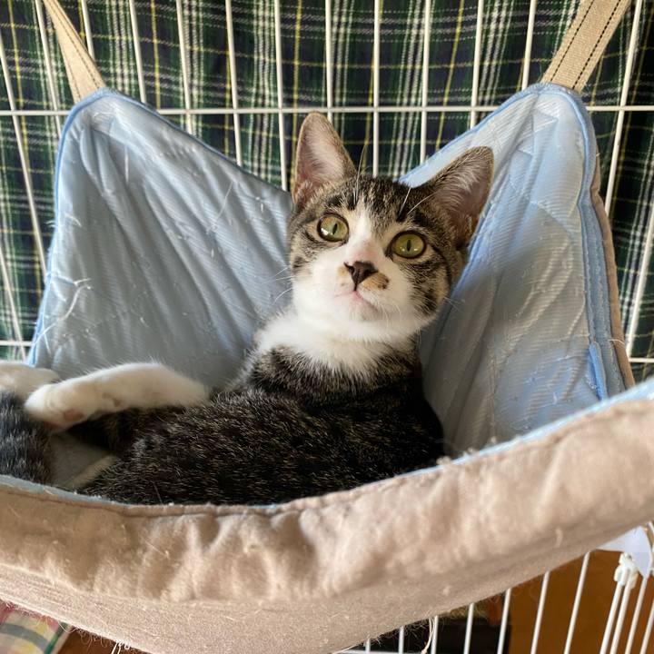 B52463ed 680b 43f3 bba7 bf951f134ac4 1694133449953