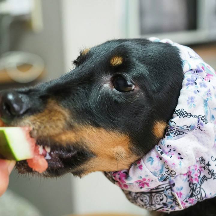 B524b203 0c43 43d3 a3b7 df0bceec0098 1561272577702