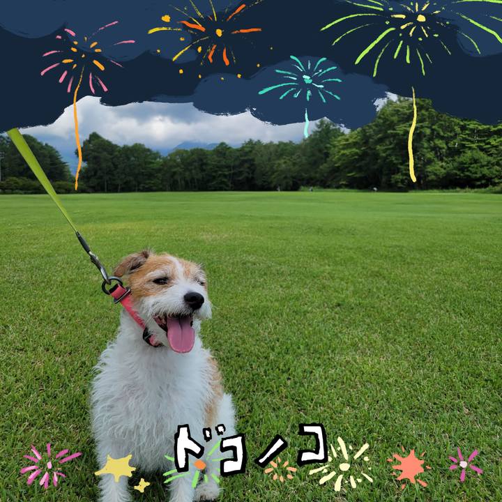 B524b69a ba5b 4f40 9277 05c0347f4198 1723174676627