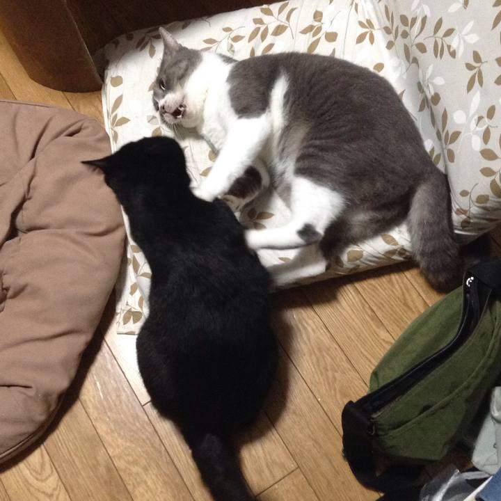 B524dce0 9f42 41c4 ae86 f0d58d419018 1536844616261