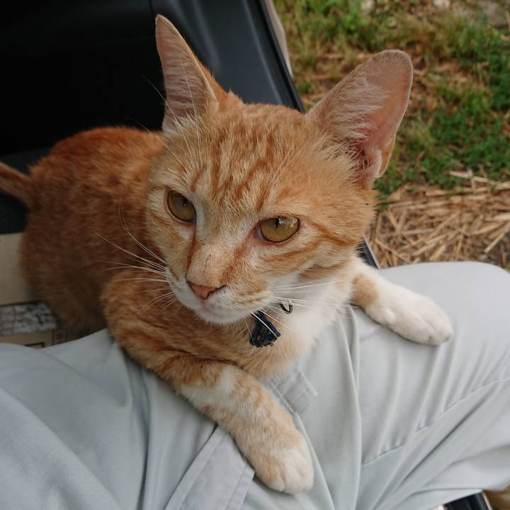 B524ef9e 34a4 46f1 b71c f5a26f34c28f 1561187068618