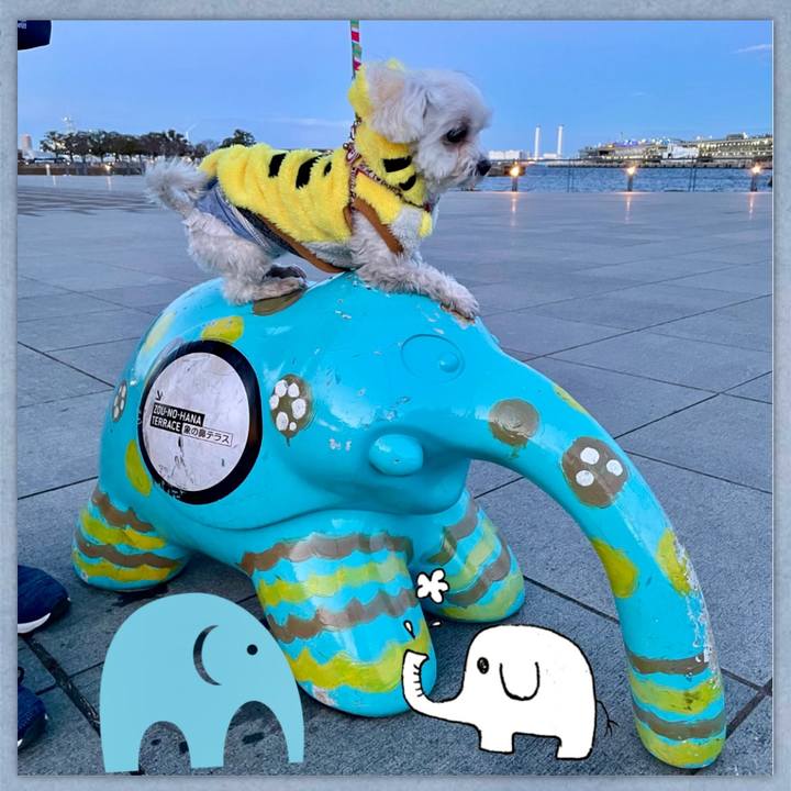 B5250698 f76d 4087 a1a5 9e1ea8496d5a 1644058872807