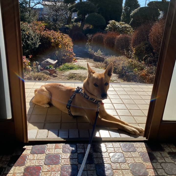 B5250c17 d261 4d06 8f7e f90bcdccfbb9 1611201172784