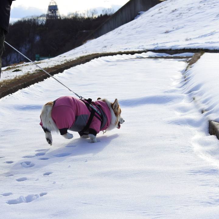 B525175d 1c6a 434d b5ad 8c6eedfc8ce3 1708862541359