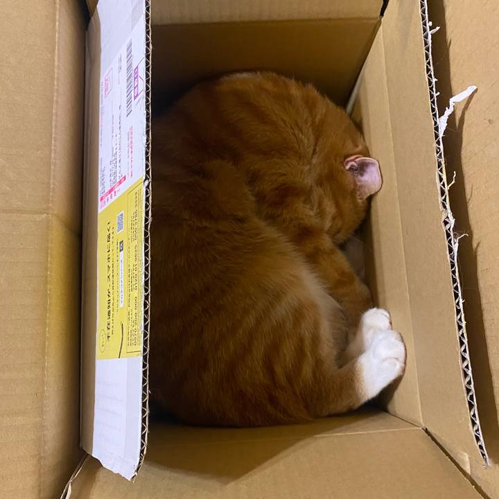 B5251901 1b6d 4400 b211 8ec6cb1e20e5 1632852275545