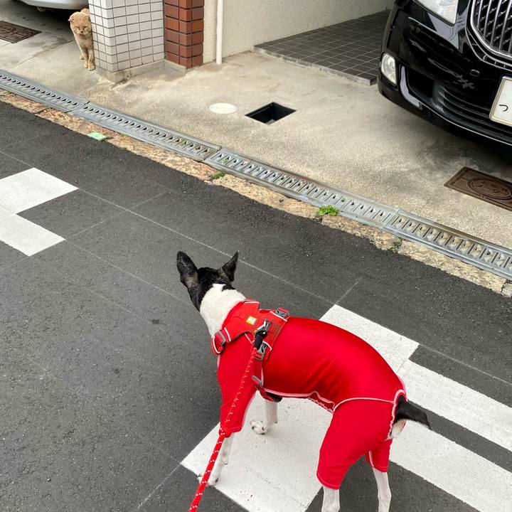 B5258233 a611 40c1 827c 223358b33999 1618523652281