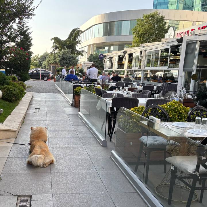 B5259005 d0af 4820 aa7b b43bc1839b6d 1750089663031