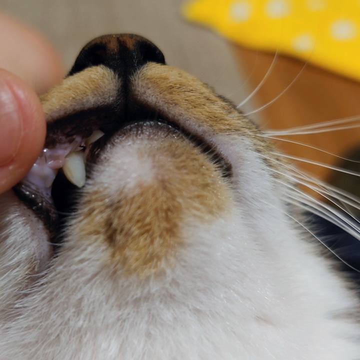 B5259d2c e4dc 4744 a5d7 588d668239ed 1772191589663