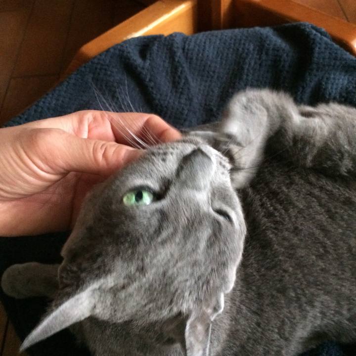 B525a2f8 c6a1 4a23 8f35 07e281439409 1515308499774