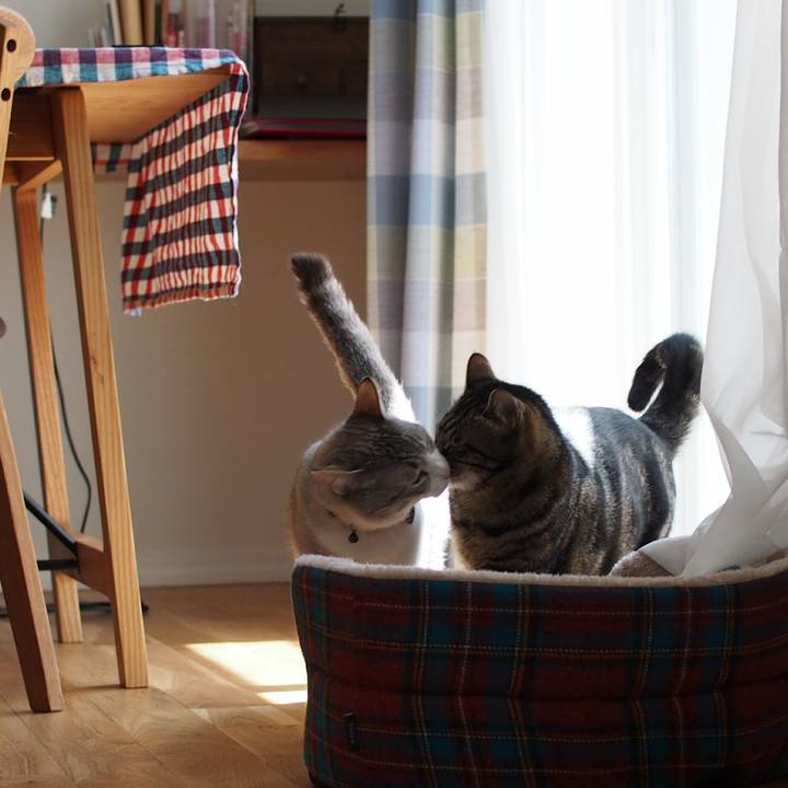 B525add7 2475 48dd 8777 f0b67954a1a7 1557977721982