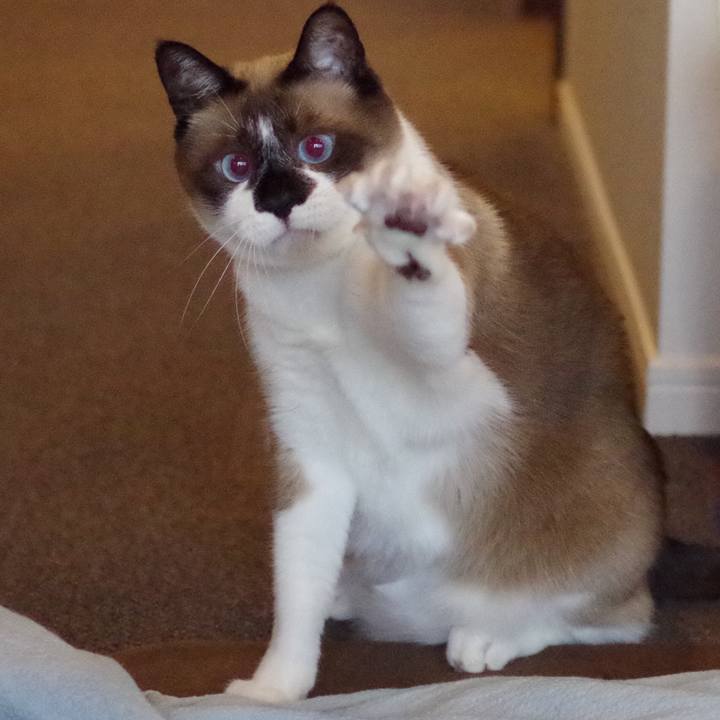 B525daec 498f 4501 aa3a a928f519eaa9 1554853734525