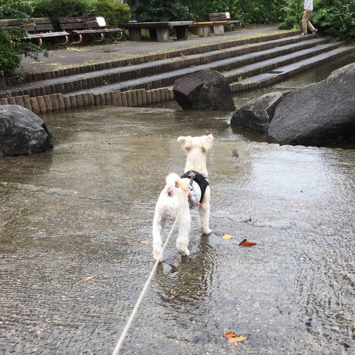 B525ffeb bb69 48a1 b61a a91a4d653f69 1538288693013