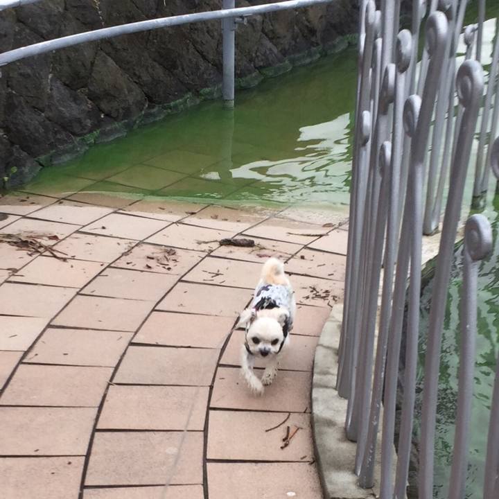 B526341b 3e97 457f b488 eea591b0418d 1507985638957