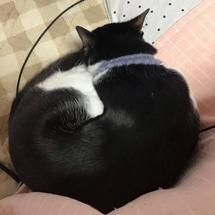 B5267110 3395 4bd7 a98f a1ef110850c1 1642909288392