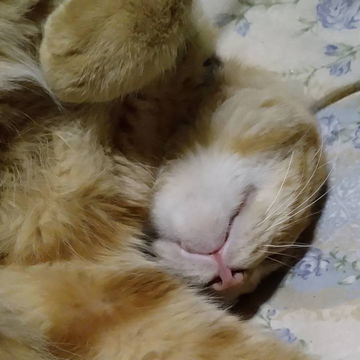 B526b9ca 088a 435f 97eb 81203717a21f 1663765332872