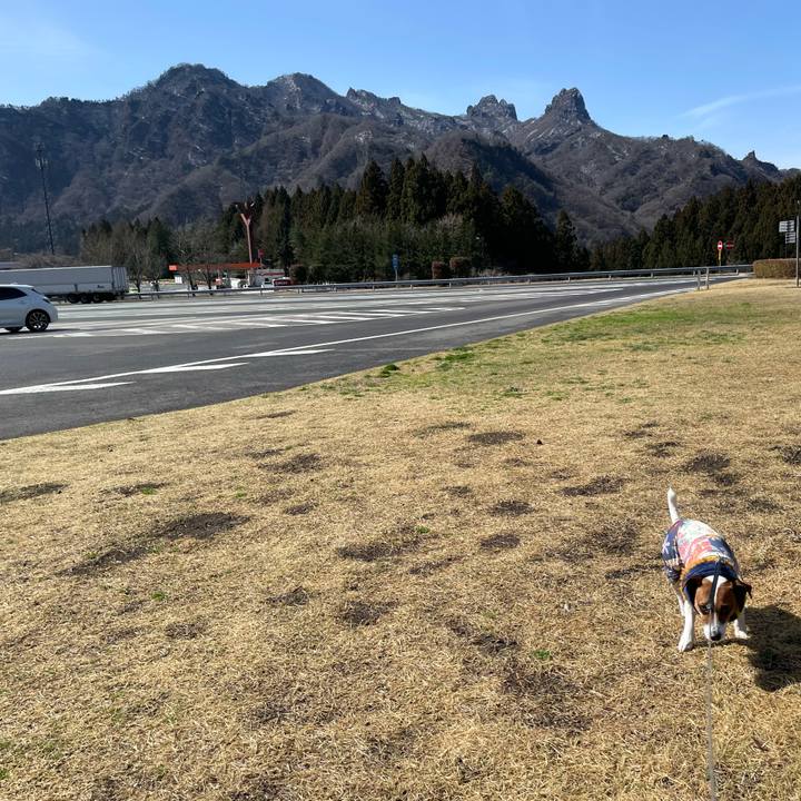 B526d368 ed98 4890 b52e 21144d2c9e72 1647653836694