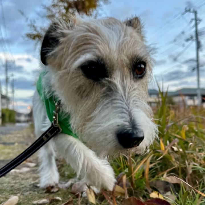 B526e402 58d9 4f39 b403 f614da5e1512 1733403260589