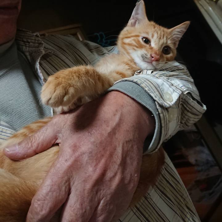 B526e849 d456 431b a66d f3fb19222575 1632656476512