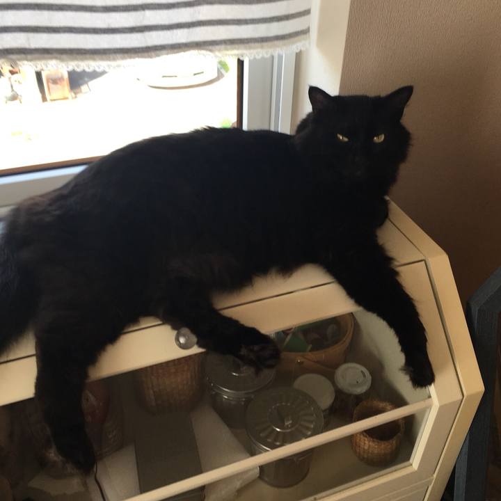 B5270303 16c6 45fa aa31 b480a8607ca4 1530341279172