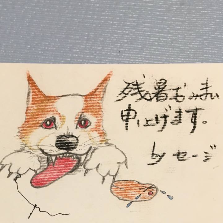 B527058f 0290 48fa b62d d584a4196fb5 1598716895447