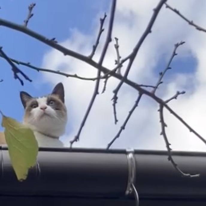 B5273230 7379 4658 8719 becffdd56b7a 1735270761536