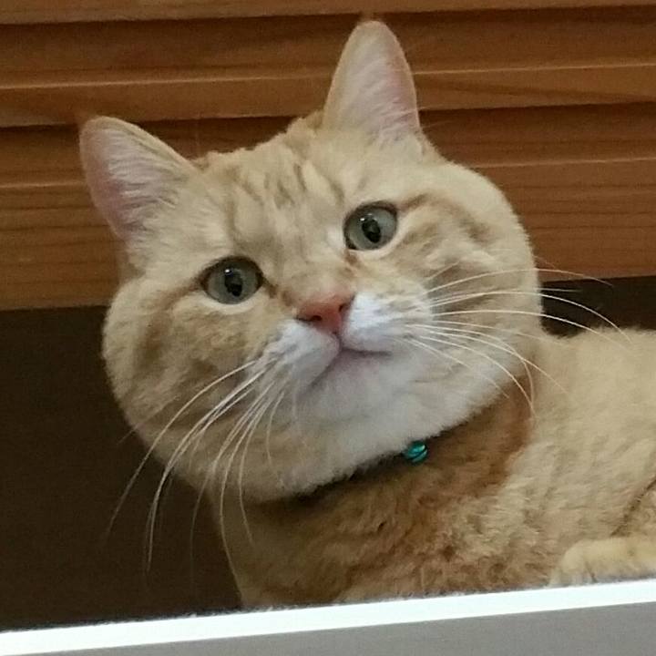 B5275aa8 f1b3 400e 85c0 f46a08c78282 1518348177025