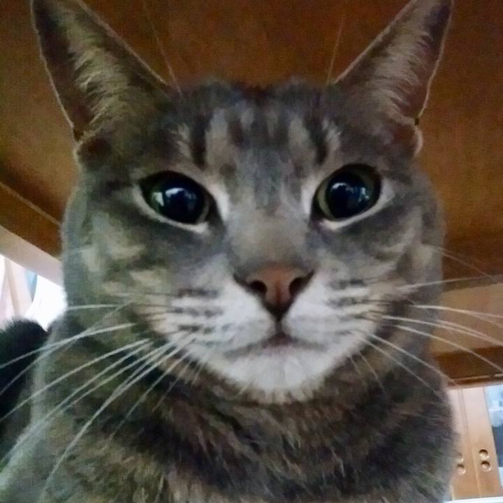 B527827f 5f25 4533 8b14 b678c11d1556 1521632345871