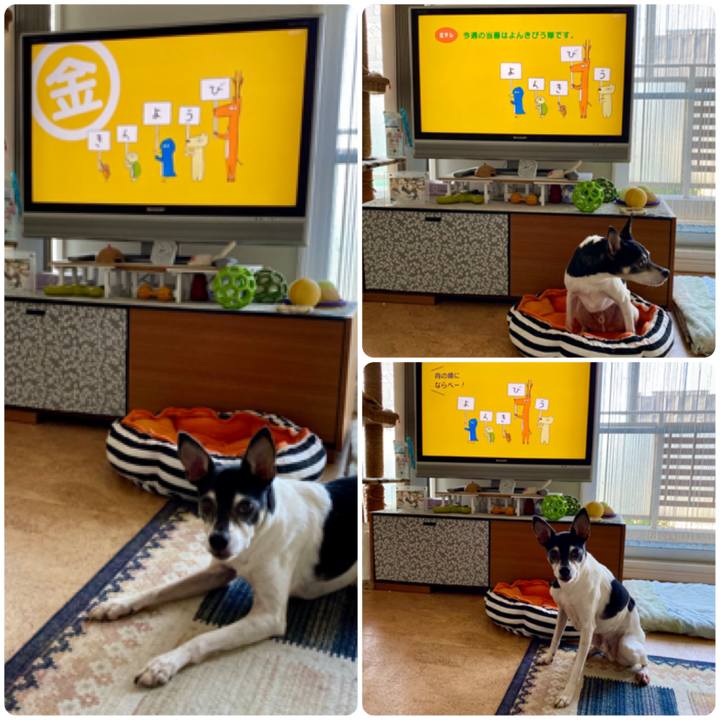 B5279ed8 59be 42f6 8904 4d4de9933959 1590704256724