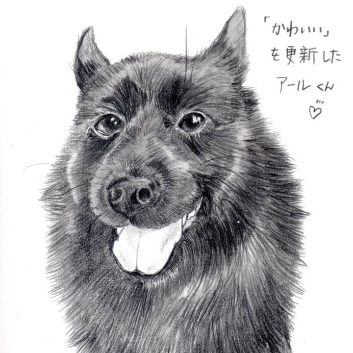 B527e248 8a16 4f64 acd6 605a0a317a0d 1631617767715