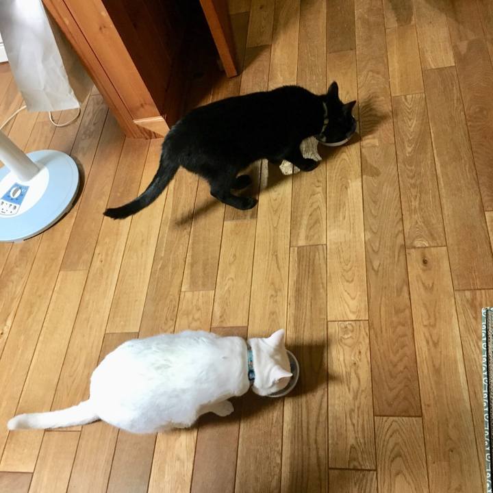 B527ff97 6d34 4376 997e c18e915771fe 1529503871910