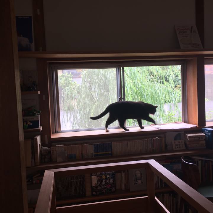 B528064a 20af 4f9c b7ce 3770fdff6b61 1568594706861