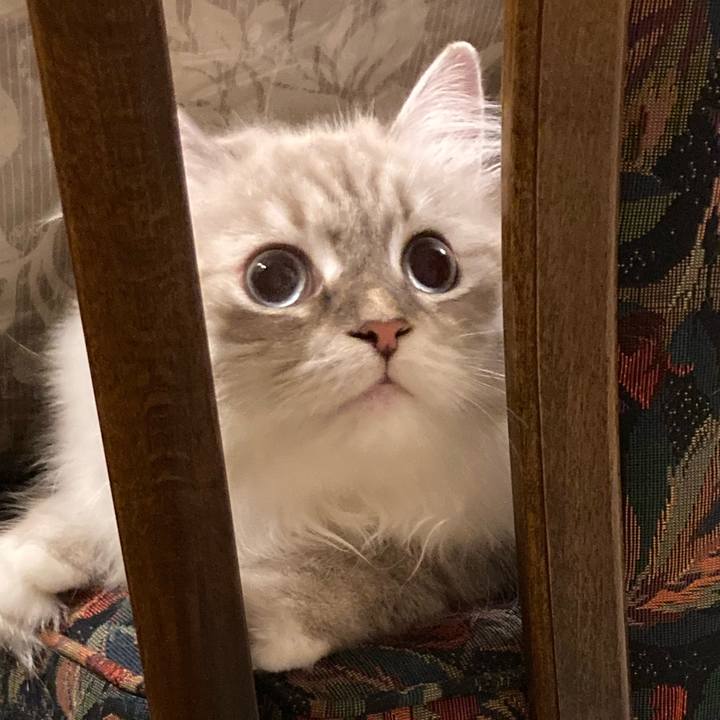 B5280695 c301 405b 860a 50c92531864a 1699245526335