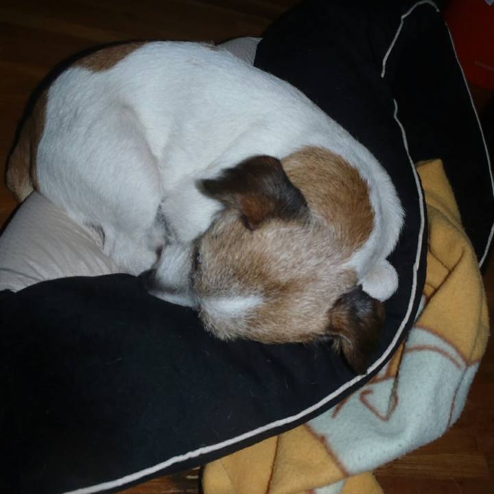 B528288b 687d 4bd3 bde8 e4560b358bf8 1508123090479