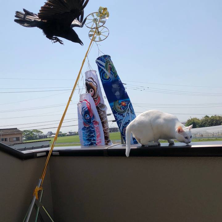 B5285f92 c40c 4629 9fd5 7efd26389955 1524878704657