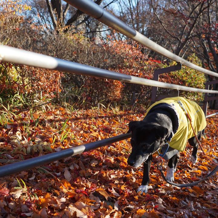 B528631c 35a0 4878 8e49 b617a94bb0de 1765759977145