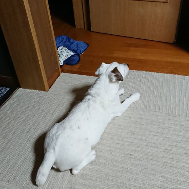 B5287362 c038 4fa5 983c bac06994b82d 1592750031518