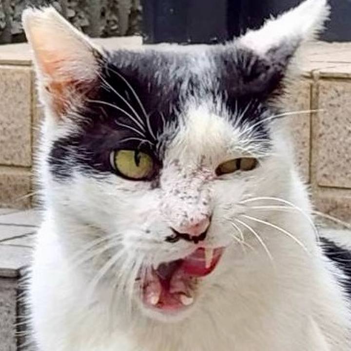 B528c087 c040 44f6 8cc5 fd4d0e9a0069 1760150822718