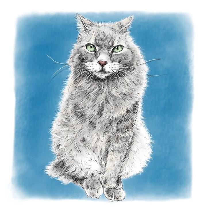 B528d0d3 3074 499a 97cc c2f1b708050c 1585749032918