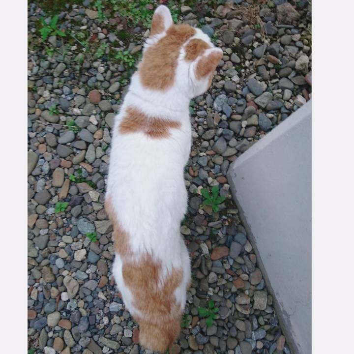 B5290a80 de25 4005 803d f77cc657ddfc 1629977536174