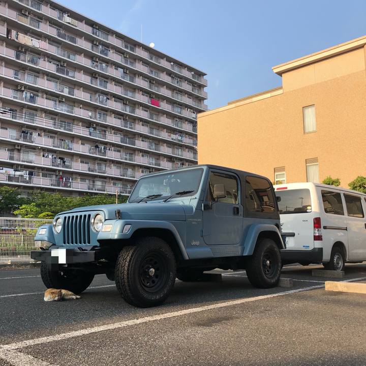 B5290ba1 7850 4655 adde 816688ac9d7d 1525169339306