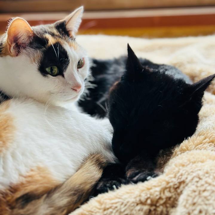 B5291443 6240 4afb bd6a 46b8757b7e7f 1710034661225