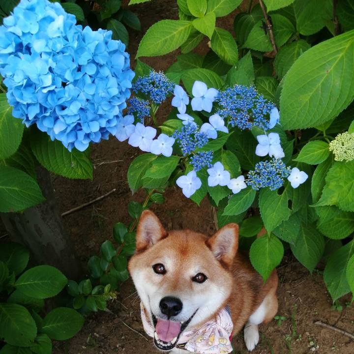 B52915af dda5 4e66 87b9 98b5b7c46816 1623398051749